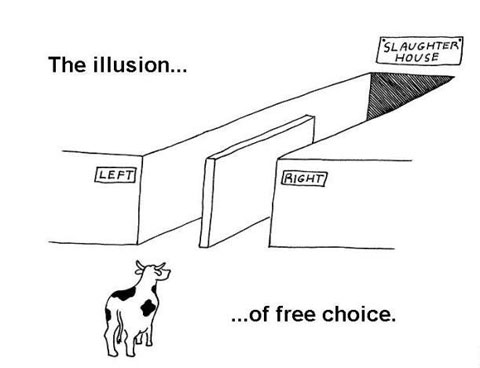illusion d'un choix